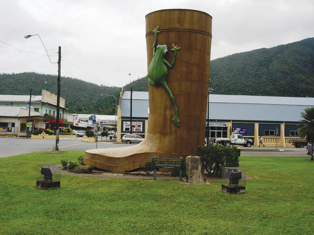 The biggest golden gumboot