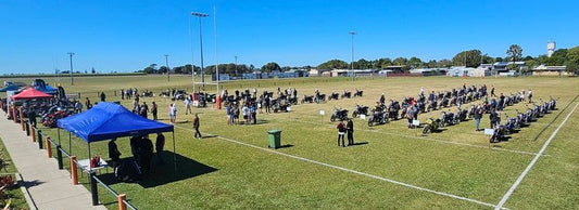 The most Kawasaki Z Motorbikes in one location