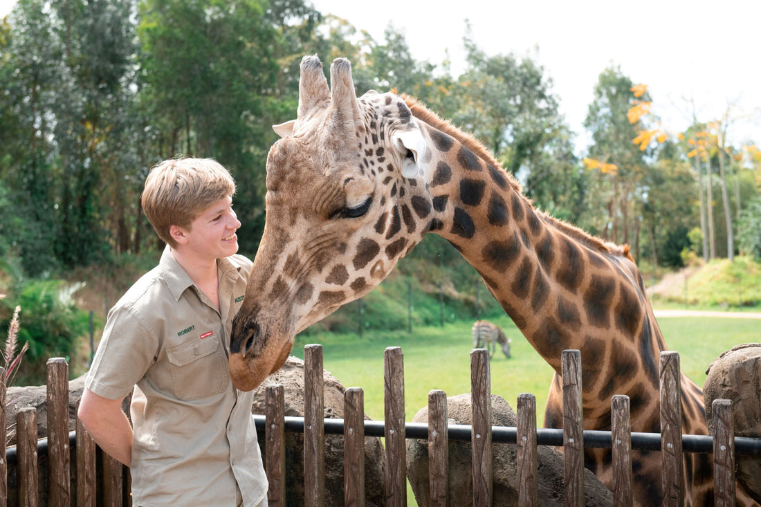 The world’s tallest Giraffe