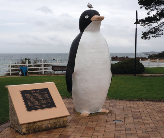 The big penguin