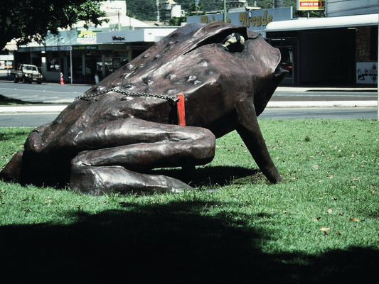 The big cane toad