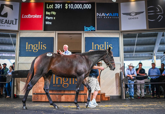 World record price for a yearling filly