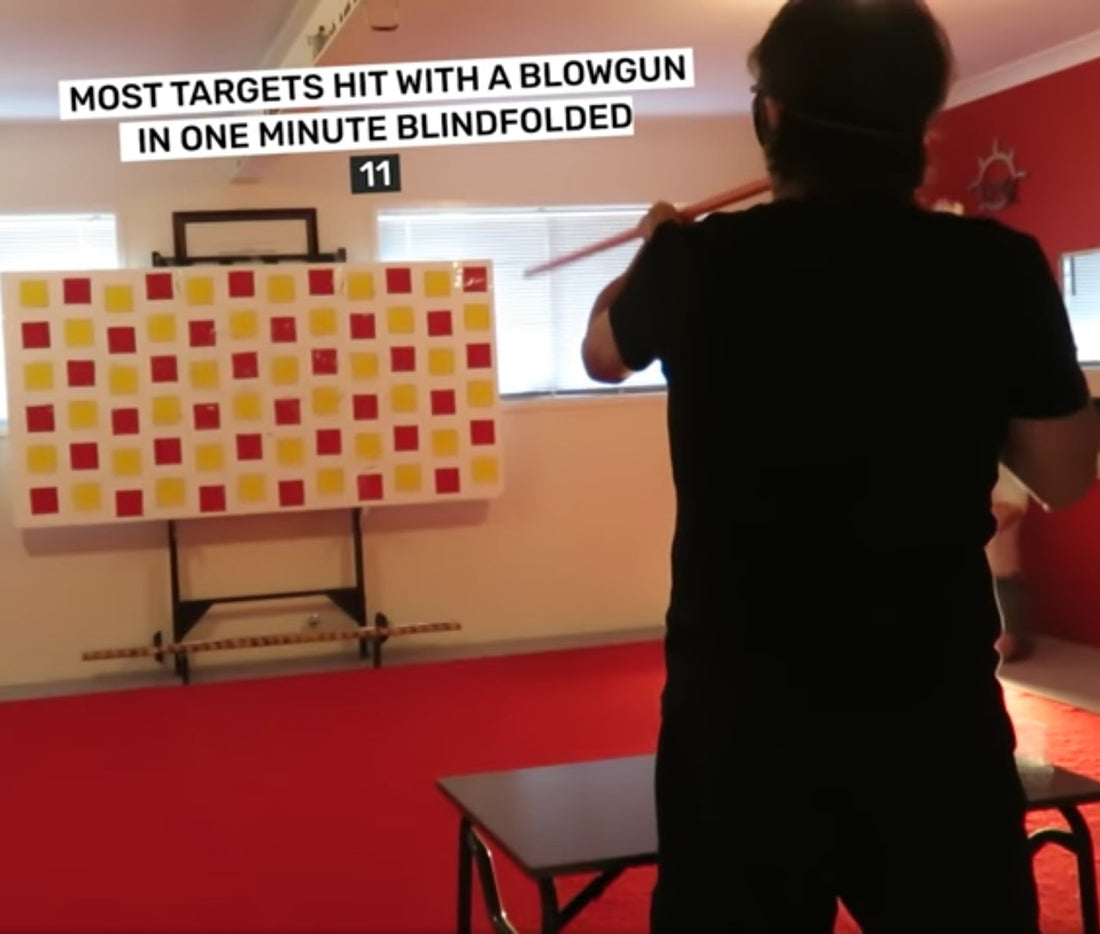 The most targets hit with a blowgun in one minute blindfolded