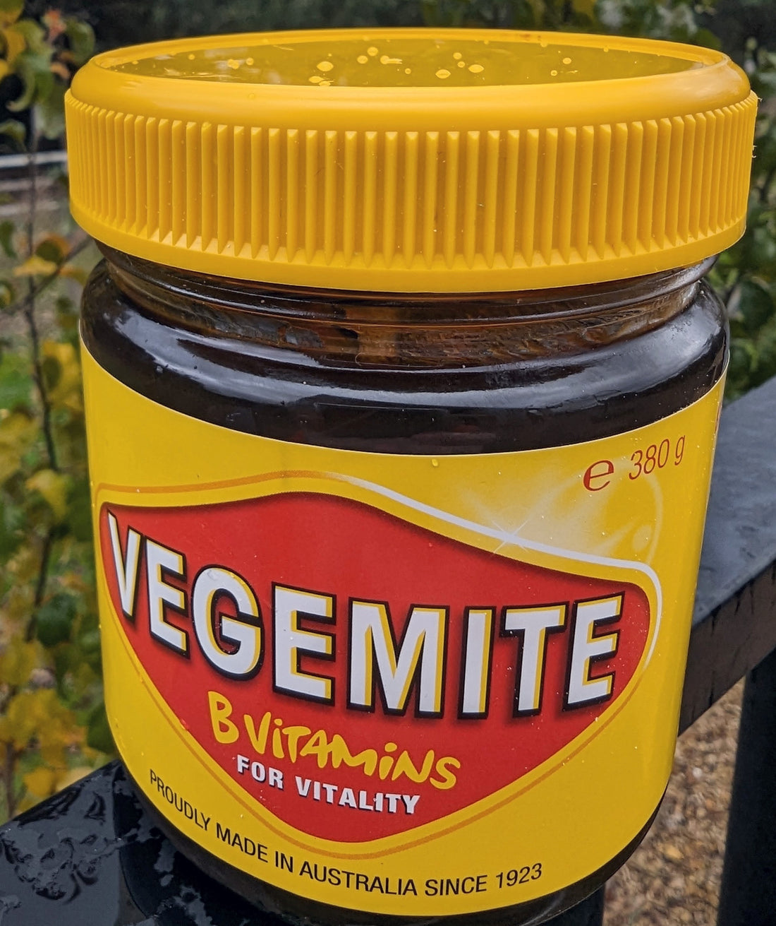 Is vegemite the most famous Aussie food?