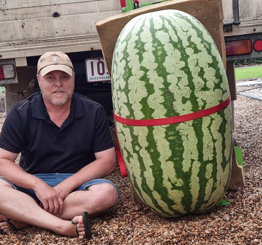 Heaviest watermelon